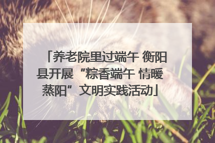 养老院里过端午 衡阳县开展“粽香端午 情暖蒸阳”文明实践活动