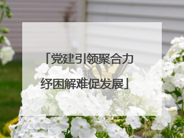 党建引领聚合力 纾困解难促发展