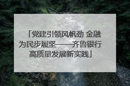 党建引领风帆劲 金融为民步履坚——齐鲁银行高质量发展新实践