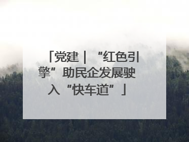 党建｜“红色引擎”助民企发展驶入“快车道”