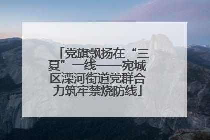 党旗飘扬在“三夏”一线——宛城区溧河街道党群合力筑牢禁烧防线