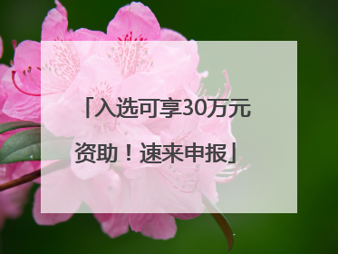 入选可享30万元资助！速来申报