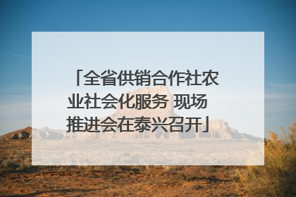 全省供销合作社农业社会化服务 现场推进会在泰兴召开