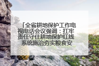 全省耕地保护工作电视电话会议强调：扛牢责任守住耕地保护红线 系统施治夯实粮食安全根基 王宁作出批示 王予波出席并讲话