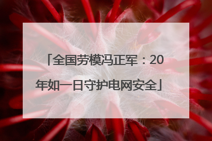 全国劳模冯正军：20年如一日守护电网安全