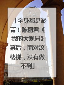 全身都是淤青！陈丽君《我的大观园》幕后：面对滚楼梯，没有做不到