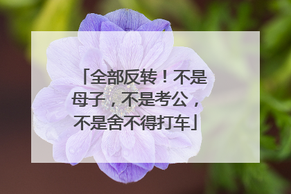 全部反转！不是母子，不是考公，不是舍不得打车
