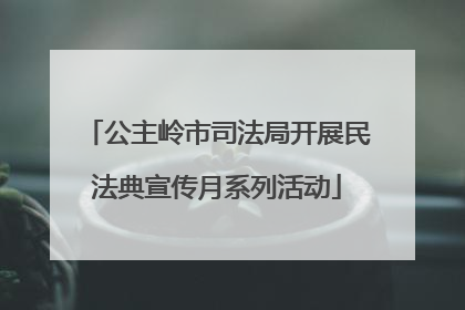 公主岭市司法局开展民法典宣传月系列活动