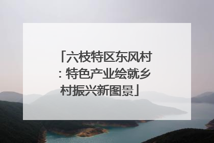 六枝特区东风村：特色产业绘就乡村振兴新图景