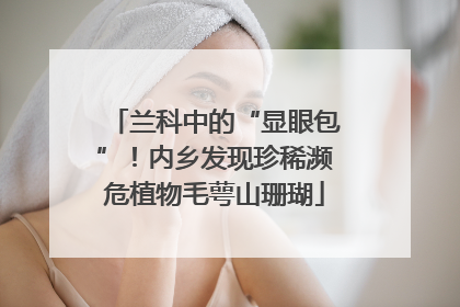 兰科中的“显眼包”！内乡发现珍稀濒危植物毛萼山珊瑚