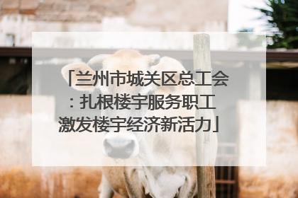 兰州市城关区总工会：扎根楼宇服务职工 激发楼宇经济新活力