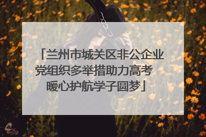 兰州市城关区非公企业党组织多举措助力高考 暖心护航学子圆梦