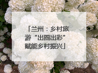 兰州：乡村旅游“出圈出彩”赋能乡村振兴