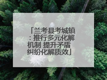 兰考县考城镇：推行多元化解机制 提升矛盾纠纷化解质效
