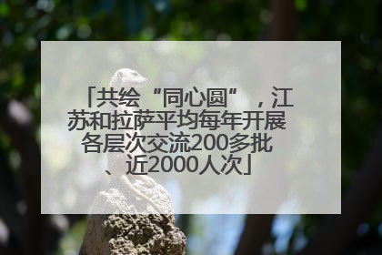 共绘“同心圆”，江苏和拉萨平均每年开展各层次交流200多批、近2000人次