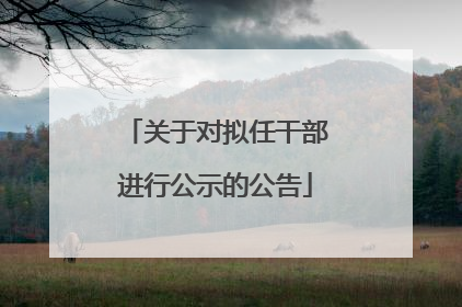 关于对拟任干部进行公示的公告