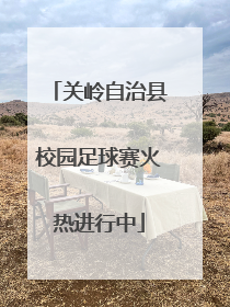 关岭自治县校园足球赛火热进行中