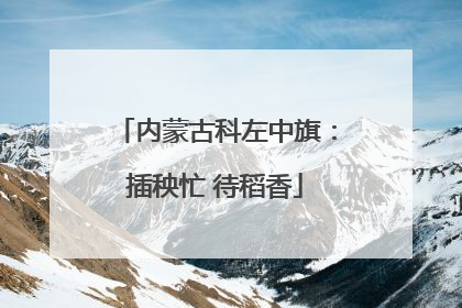 内蒙古科左中旗：插秧忙 待稻香