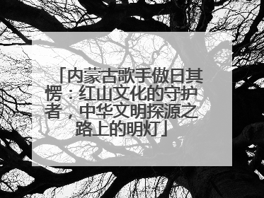 内蒙古歌手傲日其愣：红山文化的守护者，中华文明探源之路上的明灯