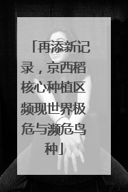 再添新记录，京西稻核心种植区频现世界极危与濒危鸟种