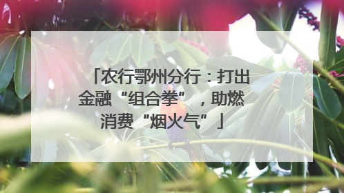 农行鄂州分行：打出金融“组合拳”，助燃消费“烟火气”
