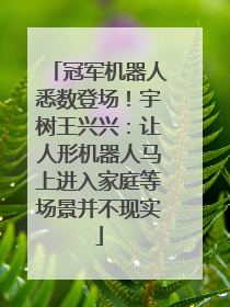 冠军机器人悉数登场！宇树王兴兴：让人形机器人马上进入家庭等场景并不现实
