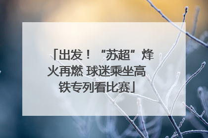 出发！“苏超”烽火再燃 球迷乘坐高铁专列看比赛