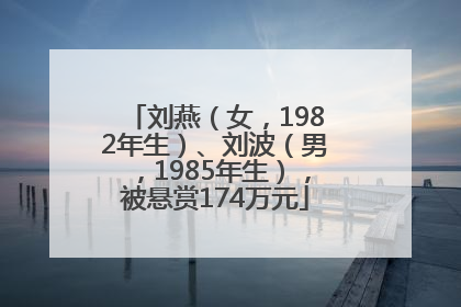 刘燕（女，1982年生）、刘波（男，1985年生），被悬赏174万元