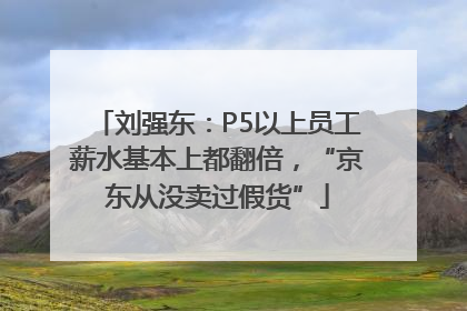 刘强东：P5以上员工薪水基本上都翻倍，“京东从没卖过假货”