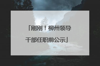 刚刚！柳州领导干部任职前公示