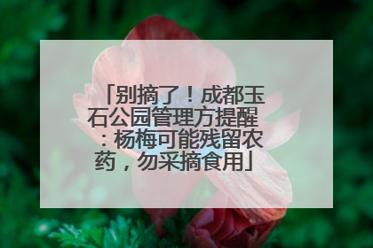别摘了！成都玉石公园管理方提醒：杨梅可能残留农药，勿采摘食用