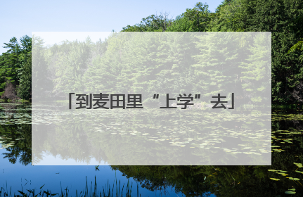 到麦田里“上学”去