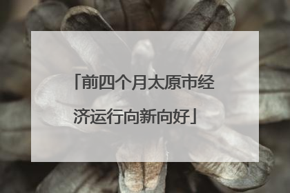 前四个月太原市经济运行向新向好