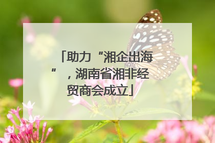 助力“湘企出海”，湖南省湘非经贸商会成立