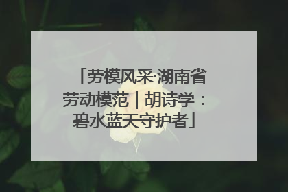 劳模风采·湖南省劳动模范｜胡诗学：碧水蓝天守护者