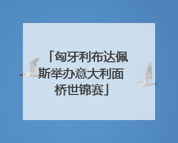 匈牙利布达佩斯举办意大利面桥世锦赛