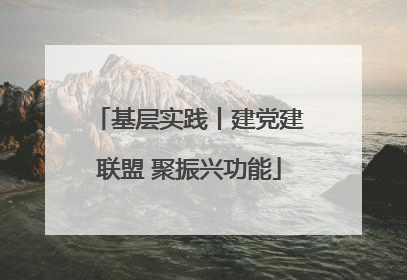 基层实践丨建党建联盟 聚振兴功能