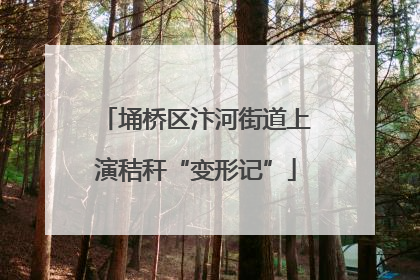 埇桥区汴河街道上演秸秆“变形记”