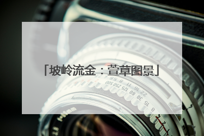 坡岭流金：萱草图景