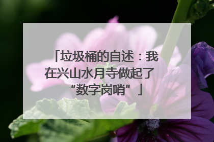 垃圾桶的自述：我在兴山水月寺做起了“数字岗哨”