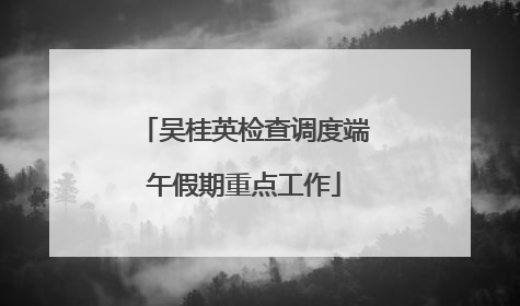 吴桂英检查调度端午假期重点工作