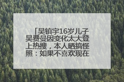 吴镇宇16岁儿子吴费曼因变化太大登上热搜，本人晒搞怪照：如果不喜欢现在的我可以离开