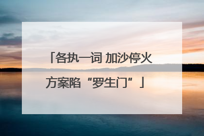 各执一词 加沙停火方案陷“罗生门”