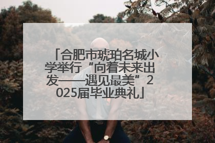 合肥市琥珀名城小学举行“向着未来出发——遇见最美”2025届毕业典礼