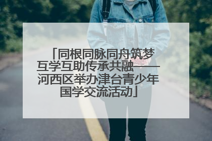同根同脉同舟筑梦 互学互助传承共融——河西区举办津台青少年国学交流活动