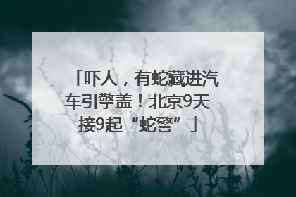 吓人，有蛇藏进汽车引擎盖！北京9天接9起“蛇警”