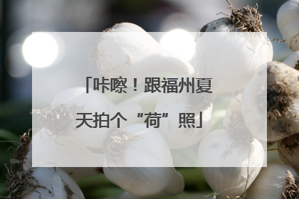 咔嚓！跟福州夏天拍个“荷”照