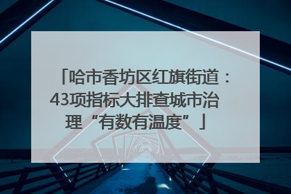 哈市香坊区红旗街道：43项指标大排查城市治理“有数有温度”
