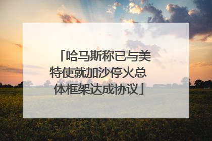 哈马斯称已与美特使就加沙停火总体框架达成协议