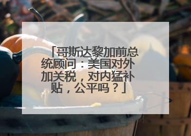 哥斯达黎加前总统顾问：美国对外加关税，对内猛补贴，公平吗？